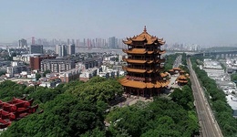 土地市场率先回暖，武汉楼市正在加速恢复