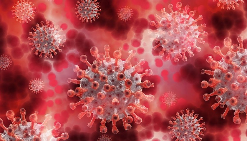 新冠病毒突变传染性加强,它是美国疫情反弹的元凶吗?