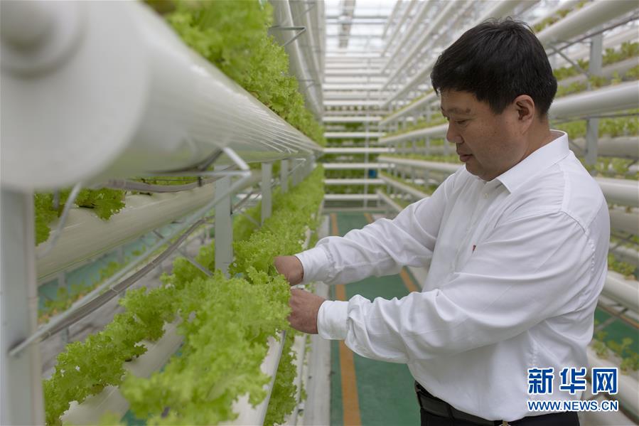 (新华全媒头条·图文互动)(1)十任“支书”一个梦