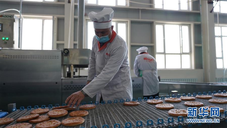 (全面建成小康社会“百城千县万村调研行”·图文互动)(5)新疆柯坪在盐碱地上“闯”出脱贫致富路