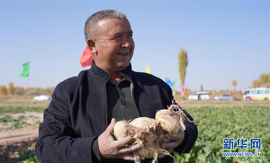 (全面建成小康社会“百城千县万村调研行”·图文互动)(1)新疆柯坪在盐碱地上“闯”出脱贫致富路