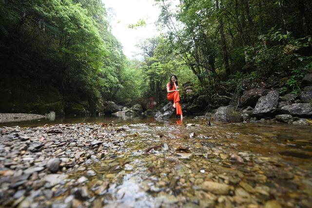 温州A级景区集合,有的闻名四海有的鲜为人知,收藏起来去打卡