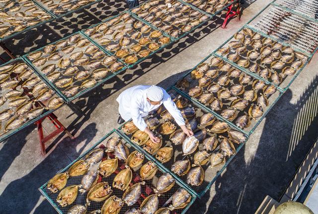 温州A级景区集合,有的闻名四海有的鲜为人知,收藏起来去打卡