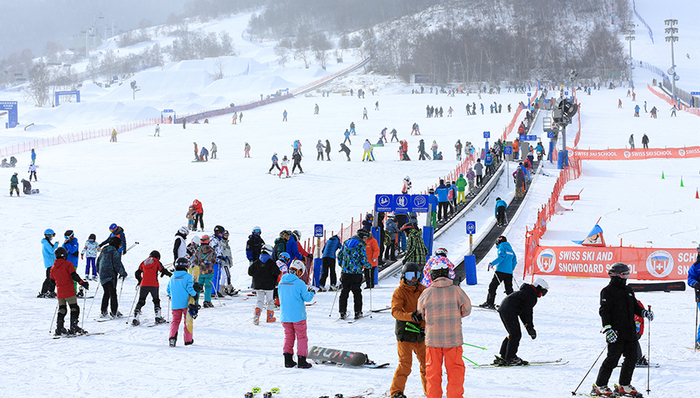 滑雪场游客被电线绊倒图片