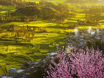 加快补齐农村数字经济短板