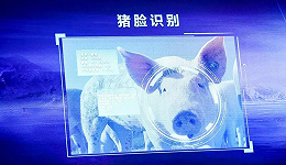 “养猪”正成为科技大厂的新战场