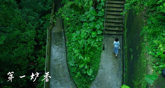 唤共鸣 扛票房 华语女性影人乘风破浪 界面新闻 娱乐