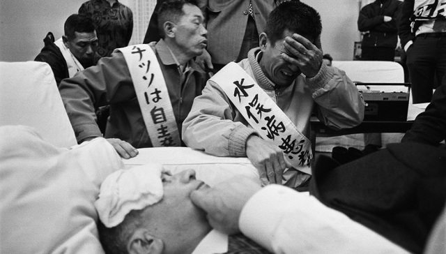 【图集】70年前的日本“水俣病”：废水污染，阴霾未散| 界面新闻