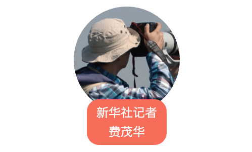 我在现场·照片背后的故事丨透过镜头见证百年华诞