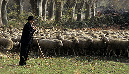 作为“牧羊人”的佩索阿：羊群是我的思想，而我的思想都是感觉 | 一诗一会