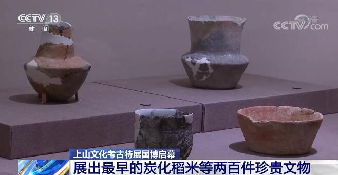 上山文化考古特展国博启幕展出最早的炭化稻米等两百件珍贵文物| 界面新闻