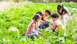 地方新闻精选｜浙江中小学生每周至少上一课时劳动课 山西返乡人员将全部纳入社区管理