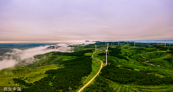 广州碳排放权交易所发布国内首份碳中和报告