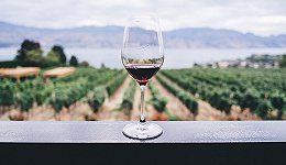 龙头业绩回暖，国产葡萄酒发力产区化