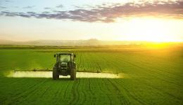 印度禁止小麦出口，农业、化肥板块大涨