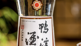 “二茅台”鸭溪酒业要上市：百亿银基系东山再起？与五粮液关系密切