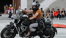 在北京骑摩托：既为了通勤，也为了生活