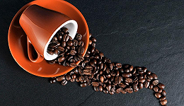 头部失速行业内卷，咖啡为何成为创业苦旅？