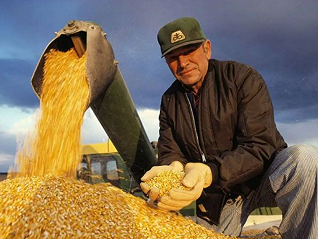 中粮集团首购6.8万吨，中国开启巴西玉米进口
