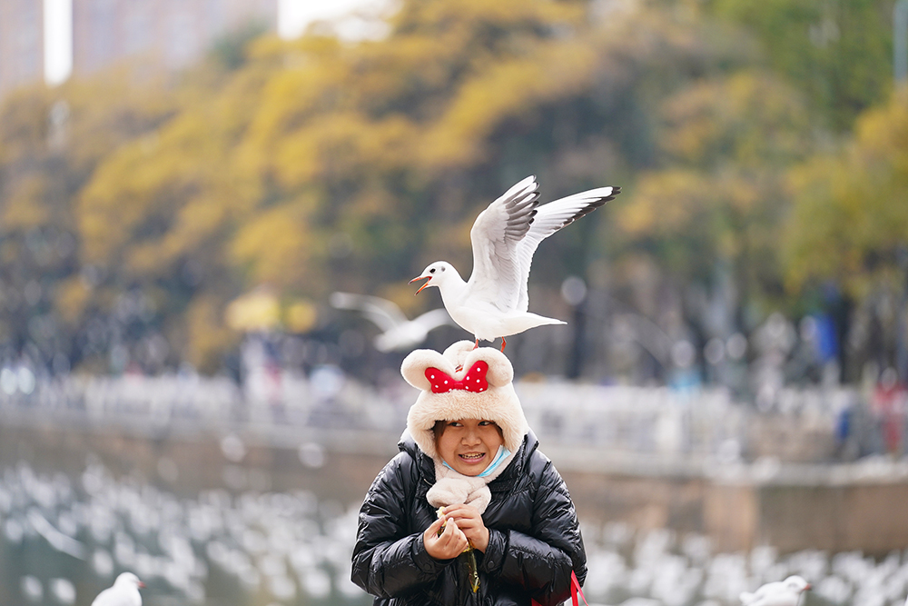 管家婆马报图今晚