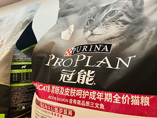 雀巢爭做中國寵物食品行業第一，把這些技術用貓糧狗糧上