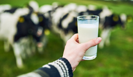上游原奶公司继续强忍阵痛：奶价未回温，成本还在涨