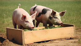 生猪、肉鸡市场低迷，养猪龙头温氏股份上半年巨亏超46亿元