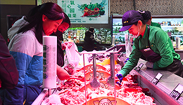 年内第三轮猪肉收储启动，猪价短期可能继续低位运行