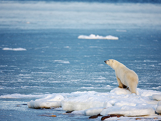 【深度】考核人类气候行动的COP28结束，我们距离“安全着陆”有多远？