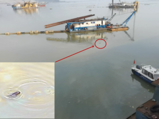 暗查时发现小江豚被困油污区域，中国前两大淡水湖均面临生态破坏问题
