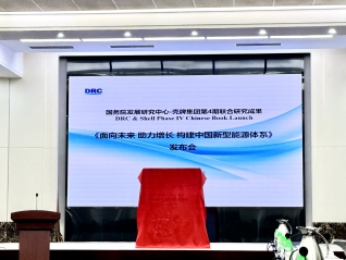 国务院发展研究中心：新能源仍将是中国新经济的重要引擎