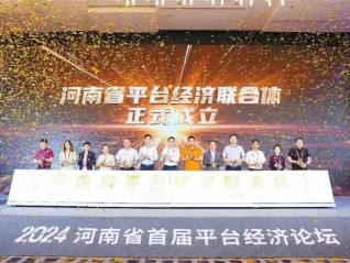 河南举行首届平台经济论坛，发布《河南省平台经济发展研究报告》