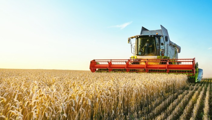直通部委 | 全国冬小麦收获进度过半 最高法就预付式消费公开征求意见