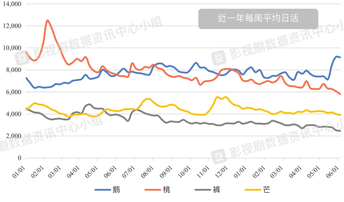 管家婆马报图今晚