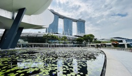 上海市与新加坡全面合作理事会第五次会议召开，签署15项合作备忘录