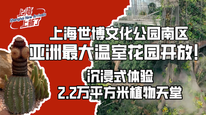 上海世博文化公园南区亚洲最大温室花园开放！沉浸式体验2.2万平方米植物天堂