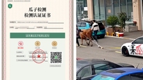 “9.9万买报废车”反转：瓜子二手车称买家系车商，拍卖前已充分告知车况，“牛拉特斯拉”仅因电池健康度低