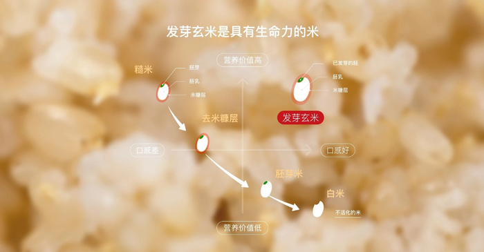 https://img1.jiemian.com/101/original/20241203/import_1733188747800820170010_a700xH.png
