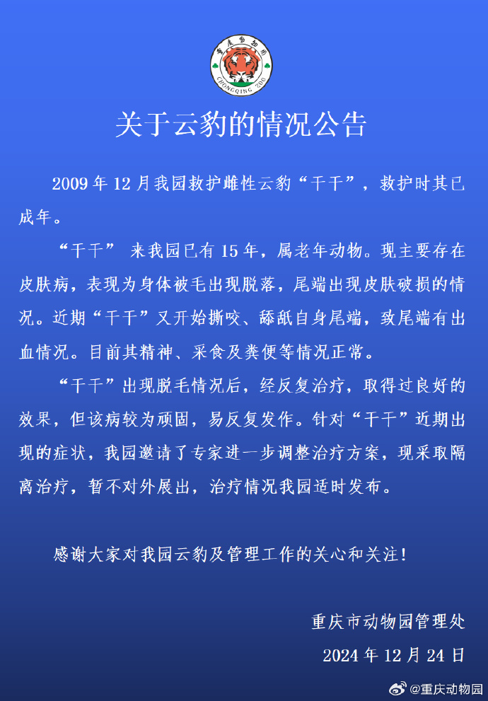 重庆动物园通报云豹“干干”健康情况：采取隔离治疗，暂不对外展出|界面新闻 · 快讯