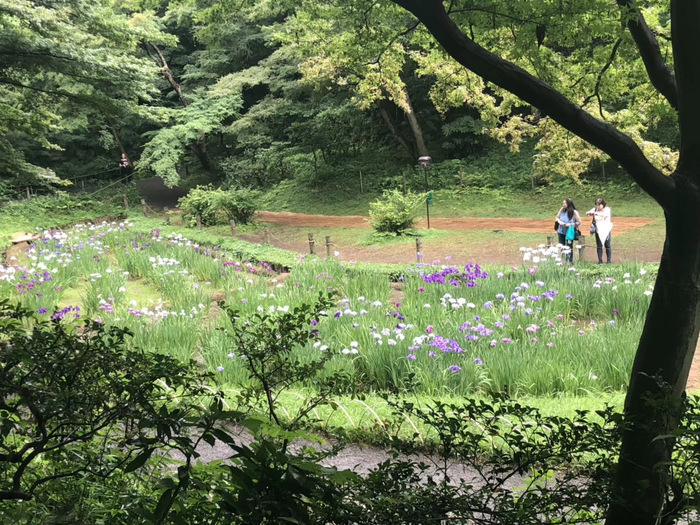 花开之处，便是故地|界面新闻 · 旅行-第4张图片-乐修号