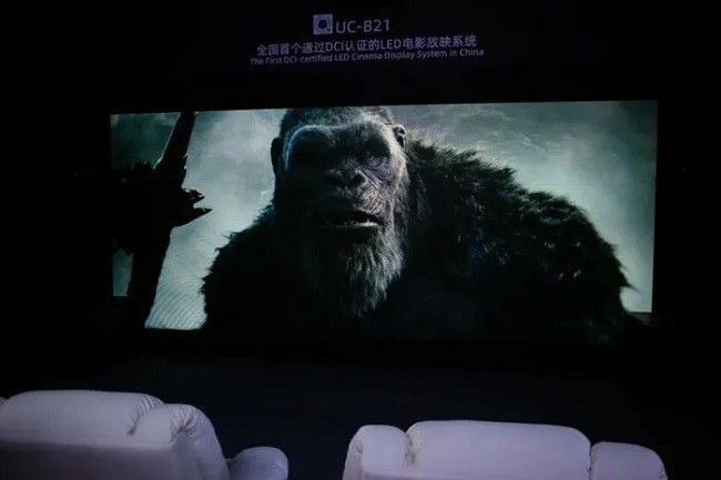 1741852359996619.jpg 5.jpg