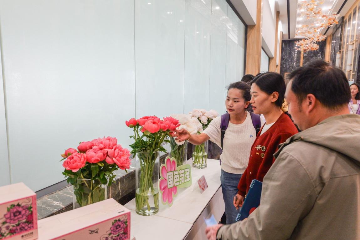 图片6.png 图片6.png