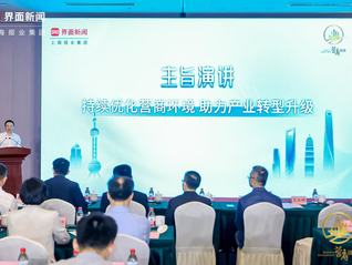 大咖聊营商（2025）系列主题论坛|嘉宾精彩观点