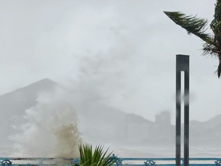 树木倒伏、车辆被砸，台风“蝴蝶”携强降雨影响华南