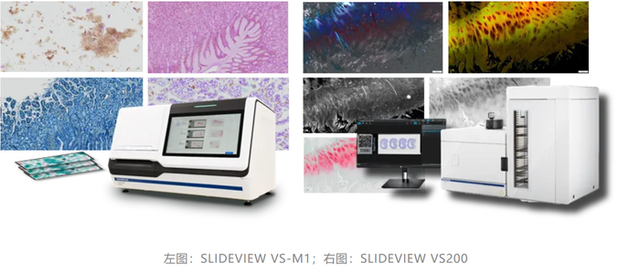 https://img1.jiemian.com/101/original/20250619/import_1750318048950620170010_a700xH.png