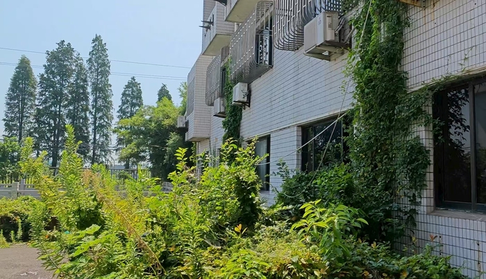 独家 | 被踢出董事会的“稀土大王”:仍在宜兴老家,会时常到公司主持工作
