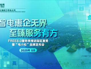 国网上海松江供电公司发布“电小松”品牌，创新推出全生命周期定制化服务