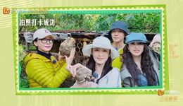 “花少”又好看了，但芒果超媒真笑不出来