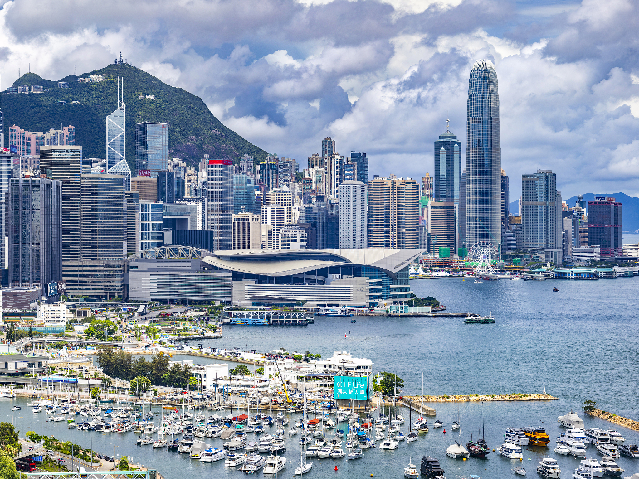 香港医用大模型打入超声领域