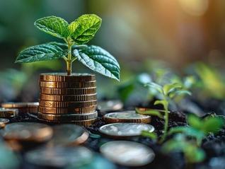 贵州银行2025年半年报：净利润同比增长0.31%，经营保持稳中有进